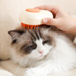 Steamy Cat Brush Cat Dog Grooming Comb Electric Self Cleaning - Image 2