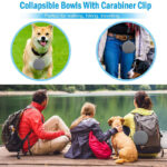 Rubber Foldable Double Bowl Pet Feeding Bowl Pets Supplies Dog Cat Bowls - Image 6